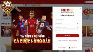 Nhà cái Oxbet – Tham gia cá cược trực tuyến thú vị và uy tín hàng đầu Châu Á